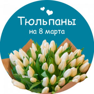 Купить тюльпаны в Гуково